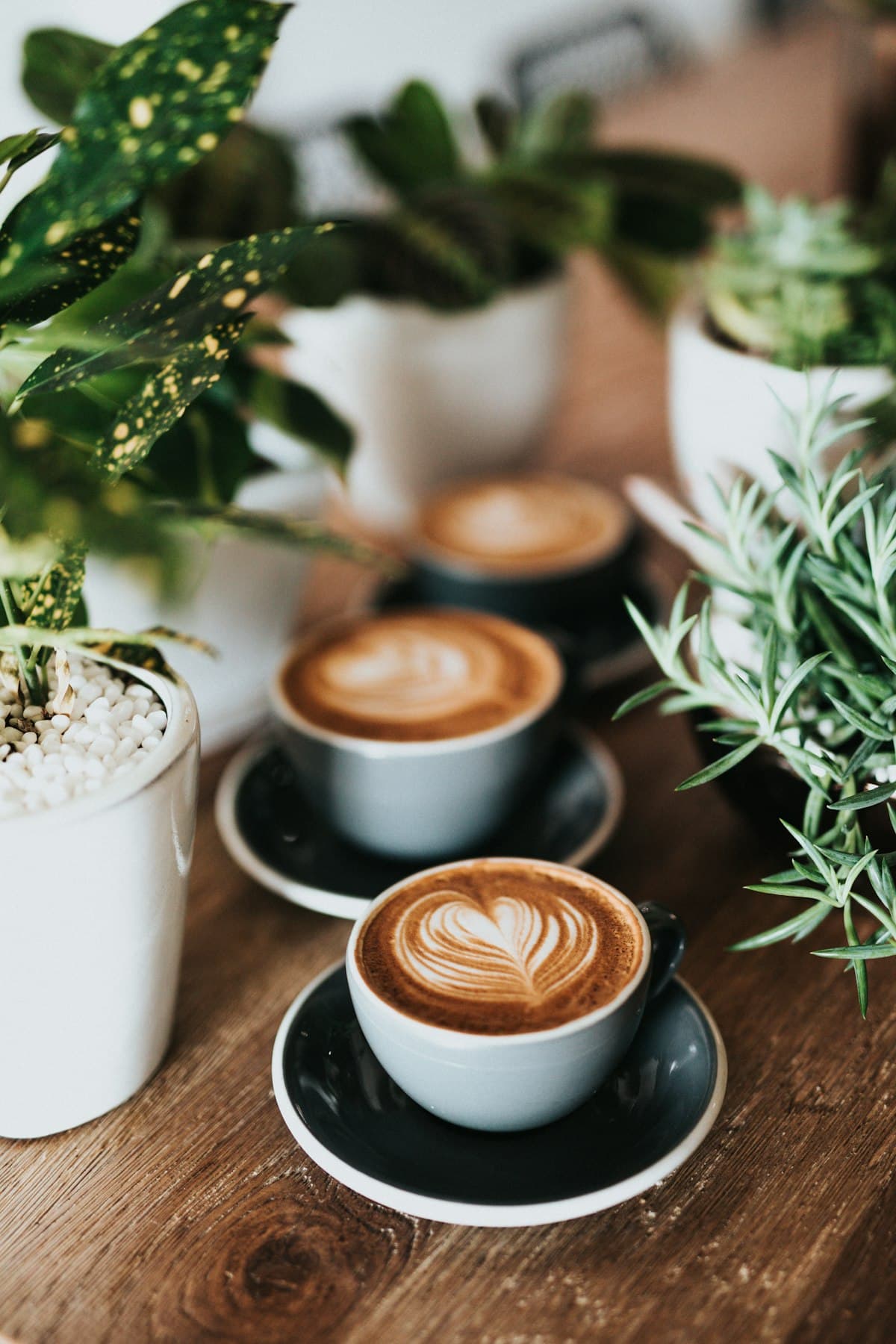 French Coffee